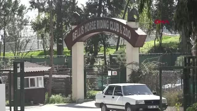ANTALYA KAFESİNDEN KAÇAN MAYMUN, OTEL PERSONELİNİN YÜZÜNE SALDIRDI ANTALYA KAFESİNDEN KAÇAN MAYMUN, OTEL PERSONELİNİN YÜZÜNE SALDIRDI