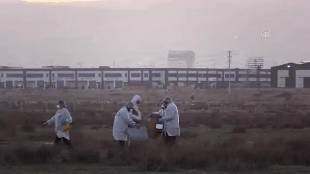 Askeri gösteri uçağı düştü (5) Askeri gösteri uçağı düştü (5)