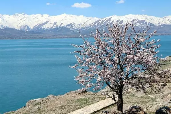 Astronotların uzaydan çektiği Van Gölü fotoğrafı finalde Astronotların uzaydan çektiği Van Gölü fotoğrafı finalde