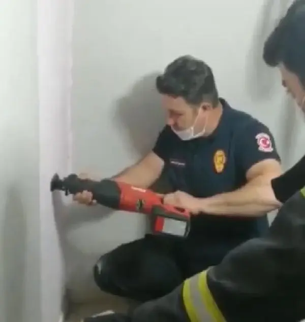 Son dakika haber... Bina boşluğuna düşen yavru kediyi itfaiye kurtardı Son dakika haber... Bina boşluğuna düşen yavru kediyi itfaiye kurtardı