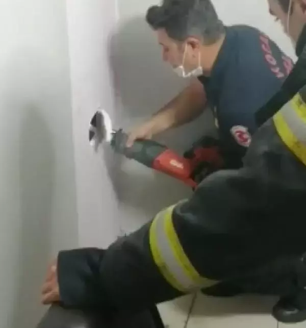 Son dakika haber... Bina boşluğuna düşen yavru kediyi itfaiye kurtardı Son dakika haber... Bina boşluğuna düşen yavru kediyi itfaiye kurtardı