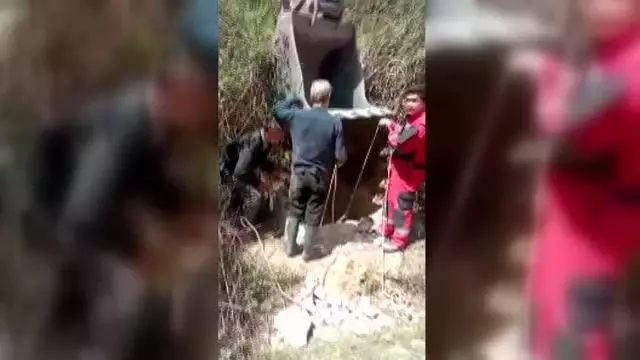 Bodrum'da tarlada otlarken kuyuya düşen inek kurtarıldı Bodrum'da tarlada otlarken kuyuya düşen inek kurtarıldı