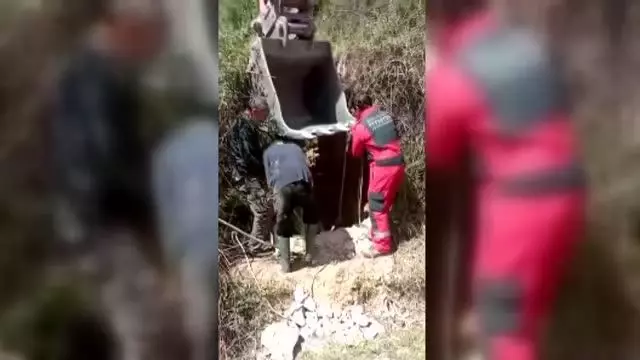 Bodrum'da tarlada otlarken kuyuya düşen inek kurtarıldı Bodrum'da tarlada otlarken kuyuya düşen inek kurtarıldı