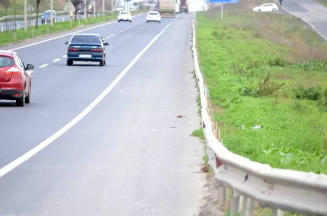 Aç kalen fareler yolu bastı Aç kalen fareler yolu bastı