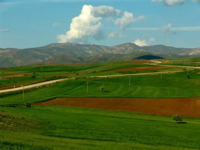 Kayseri Büyükşehir Belediyesinin tarıma desteği Kayseri Büyükşehir Belediyesinin tarıma desteği