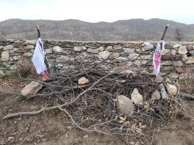 Dayak iddialarının ardından mezarı açılan yaşlı kadının torunu konuştu Dayak iddialarının ardından mezarı açılan yaşlı kadının torunu konuştu