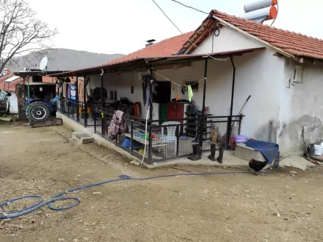 Dayak iddialarının ardından mezarı açılan yaşlı kadının torunu konuştu Dayak iddialarının ardından mezarı açılan yaşlı kadının torunu konuştu