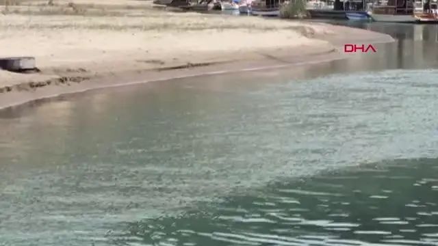 Demre'de, Akdeniz foku görüntülendi Demre'de, Akdeniz foku görüntülendi