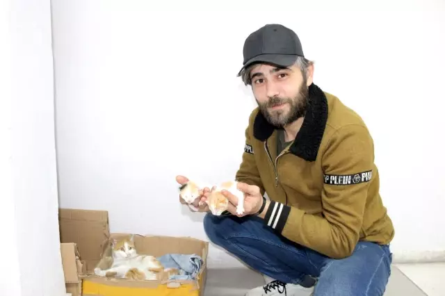 Karaman'da yürek ısıtan görüntüler...Doğumu yaklaşan kedi diş kliniğine gelerek adeta yardım istedi Karaman'da yürek ısıtan görüntüler...Doğumu yaklaşan kedi diş kliniğine gelerek adeta yardım istedi