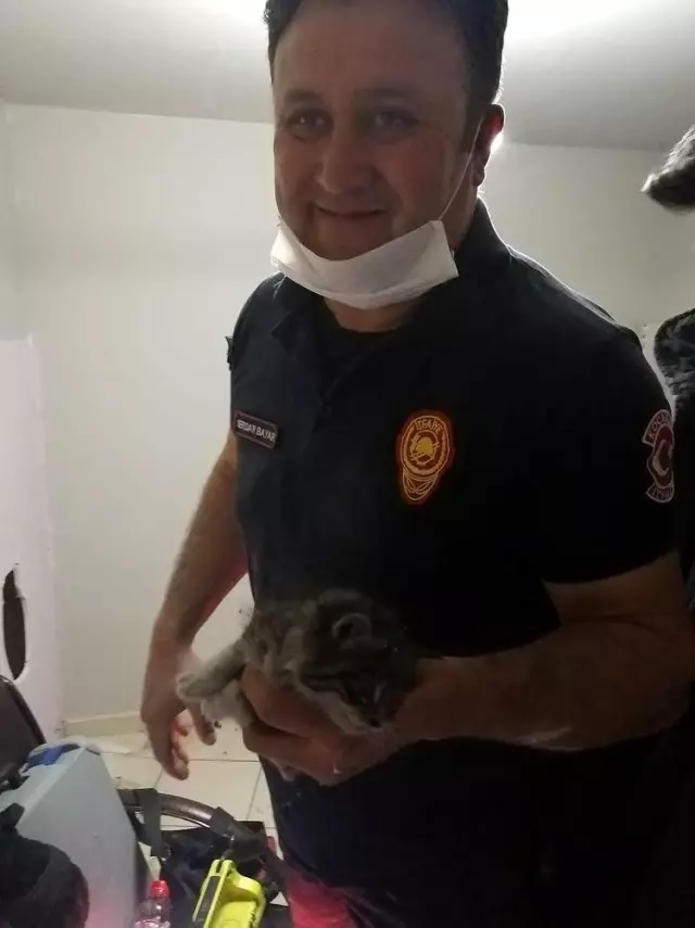 Duvardan gelen sesin kaynağı duvar delinince ortaya çıktı Duvardan gelen sesin kaynağı duvar delinince ortaya çıktı