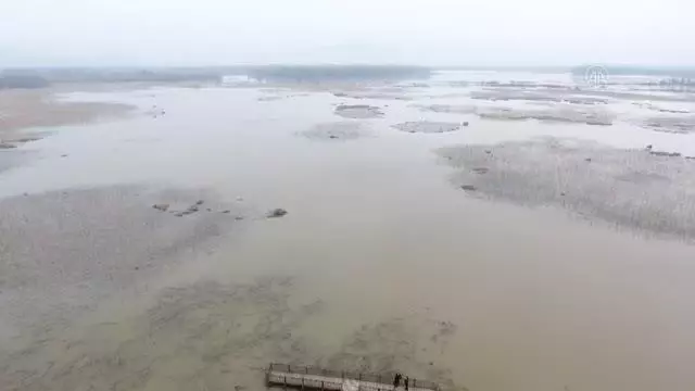 'Efteni Kuş Cenneti'nin güzelliği drone ile görüntülendi 'Efteni Kuş Cenneti'nin güzelliği drone ile görüntülendi