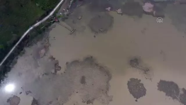 'Efteni Kuş Cenneti'nin güzelliği drone ile görüntülendi 'Efteni Kuş Cenneti'nin güzelliği drone ile görüntülendi