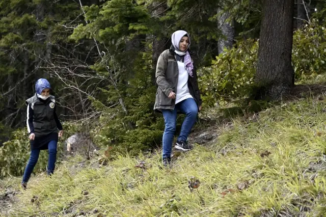 Ellerinin hamuruyla ormanları koruyorlar Ellerinin hamuruyla ormanları koruyorlar