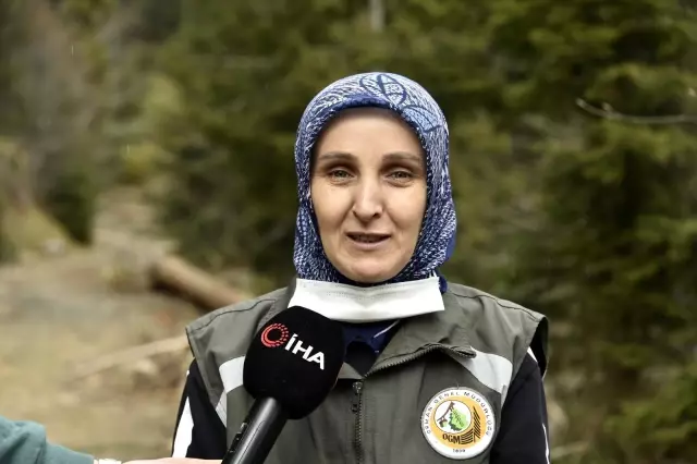 Ellerinin hamuruyla ormanları koruyorlar Ellerinin hamuruyla ormanları koruyorlar