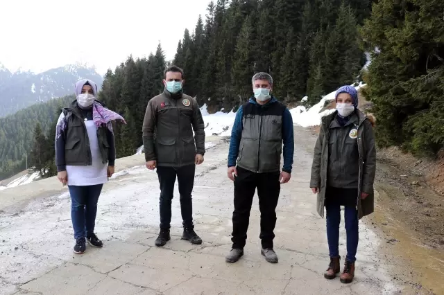 Ellerinin hamuruyla ormanları koruyorlar Ellerinin hamuruyla ormanları koruyorlar