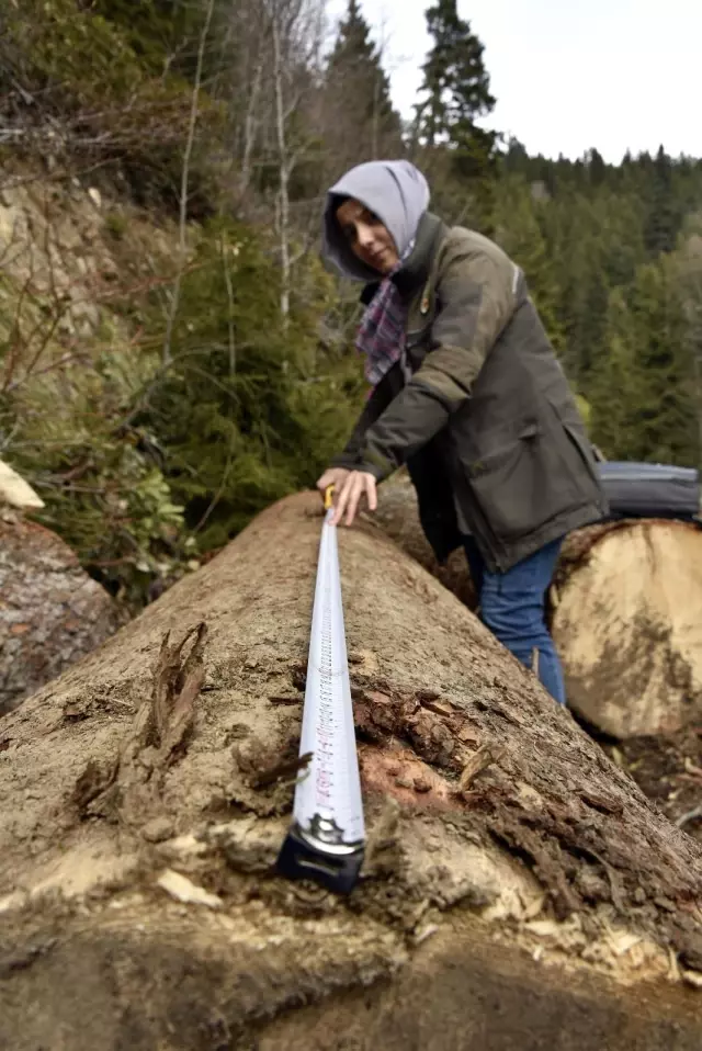 Ellerinin hamuruyla ormanları koruyorlar Ellerinin hamuruyla ormanları koruyorlar