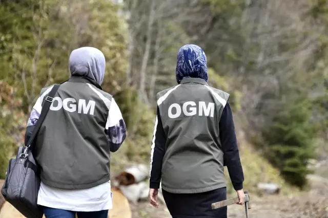 Ellerinin hamuruyla ormanları koruyorlar Ellerinin hamuruyla ormanları koruyorlar