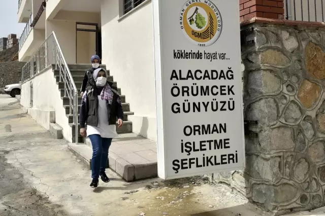 Ellerinin hamuruyla ormanları koruyorlar Ellerinin hamuruyla ormanları koruyorlar