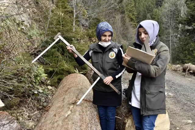 Ellerinin hamuruyla ormanları koruyorlar Ellerinin hamuruyla ormanları koruyorlar