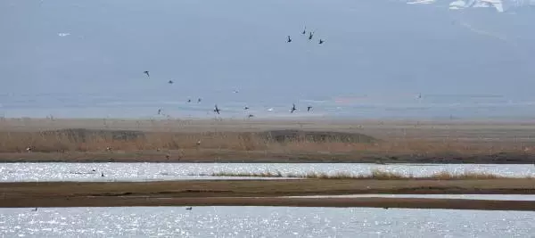 'ERZURUM'DAKİ KUŞ CENNETİ, MİLLİ PARK İLAN EDİLMELİ' 'ERZURUM'DAKİ KUŞ CENNETİ, MİLLİ PARK İLAN EDİLMELİ'