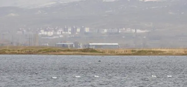 'ERZURUM'DAKİ KUŞ CENNETİ, MİLLİ PARK İLAN EDİLMELİ' 'ERZURUM'DAKİ KUŞ CENNETİ, MİLLİ PARK İLAN EDİLMELİ'