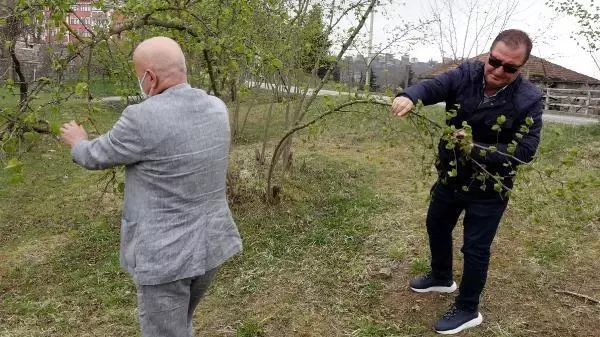 FINDIKTA 'KOZALAK AKARI' TEHLİKESİNE KARŞI HAREKETE GEÇİLDİ FINDIKTA 'KOZALAK AKARI' TEHLİKESİNE KARŞI HAREKETE GEÇİLDİ