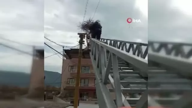 Fırtınada yuvası uçan leyleklere itfaiyeden yardım eli Fırtınada yuvası uçan leyleklere itfaiyeden yardım eli