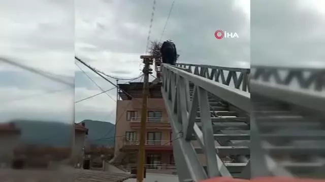 Fırtınada yuvası uçan leyleklere itfaiyeden yardım eli Fırtınada yuvası uçan leyleklere itfaiyeden yardım eli