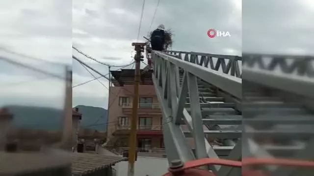 Fırtınada yuvası uçan leyleklere itfaiyeden yardım eli Fırtınada yuvası uçan leyleklere itfaiyeden yardım eli