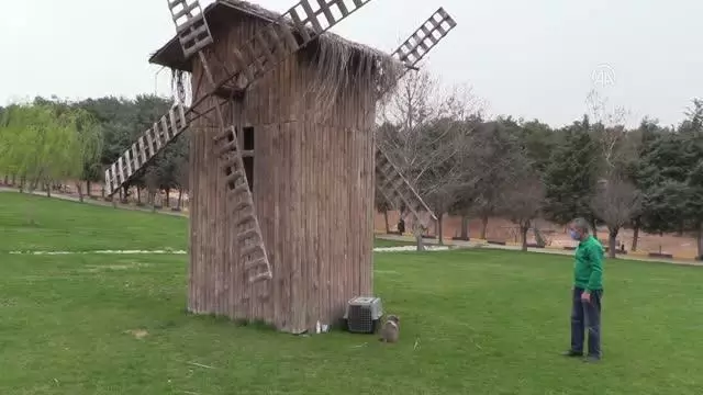 GAZİANTEP - Şempanze 'Can' ile yavru ayı 'Boncuk'un dostluğu görenleri şaşırtıyor GAZİANTEP - Şempanze 'Can' ile yavru ayı 'Boncuk'un dostluğu görenleri şaşırtıyor