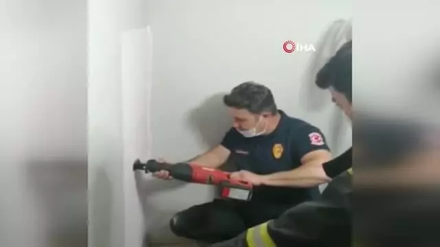 Son dakika... Havalandırma boşluğuna düşen yavru kediyi itfaiye kurtardı Son dakika... Havalandırma boşluğuna düşen yavru kediyi itfaiye kurtardı