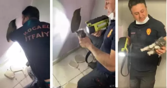 Havalandırma boşluğunda mahsur kalan kediyi itfaiye kurtardı Havalandırma boşluğunda mahsur kalan kediyi itfaiye kurtardı