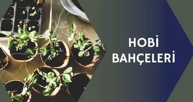 Hobi bahçeleri yıkılacak mı? Hobi bahçeleri yıkılacak mı?