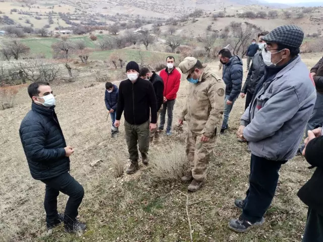 İlçeye katma değer, 24 bin yabani menengiç ağacında Antep fıstığı yetişecek İlçeye katma değer, 24 bin yabani menengiç ağacında Antep fıstığı yetişecek