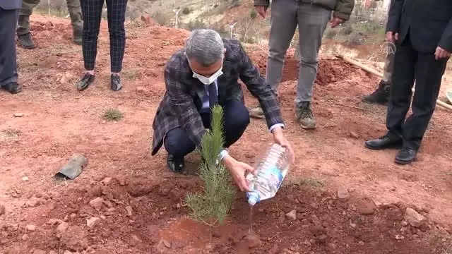 Kadına yönelik şiddetle mücadele kapsamında 'Mercan Hatıra Ormanı' oluşturuldu Kadına yönelik şiddetle mücadele kapsamında 'Mercan Hatıra Ormanı' oluşturuldu
