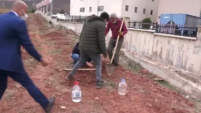 Kadına yönelik şiddetle mücadele kapsamında 'Mercan Hatıra Ormanı' oluşturuldu Kadına yönelik şiddetle mücadele kapsamında 'Mercan Hatıra Ormanı' oluşturuldu