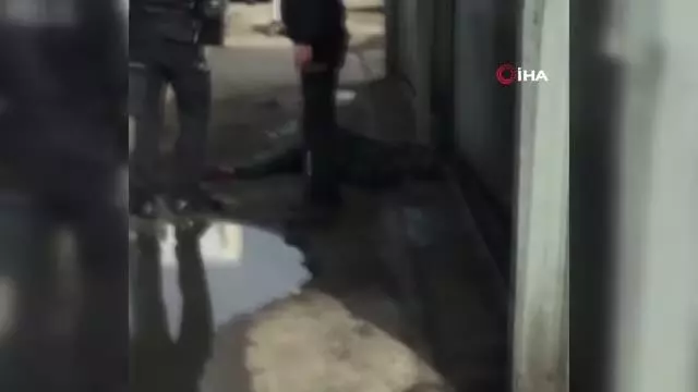 'Karlos'un yakaladığı, esnafın dövdüğü tecavüzcü tutuklandı 'Karlos'un yakaladığı, esnafın dövdüğü tecavüzcü tutuklandı