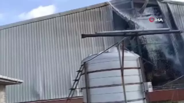 Kırklareli'de hayvan çiftliğinde yangın Kırklareli'de hayvan çiftliğinde yangın