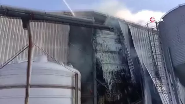 Kırklareli'de hayvan çiftliğinde yangın Kırklareli'de hayvan çiftliğinde yangın
