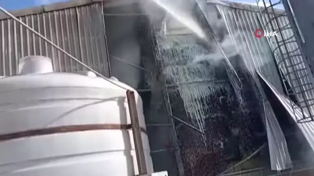 Kırklareli'de hayvan çiftliğinde yangın Kırklareli'de hayvan çiftliğinde yangın