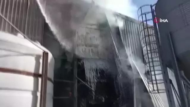 Kırklareli'de hayvan çiftliğinde yangın Kırklareli'de hayvan çiftliğinde yangın