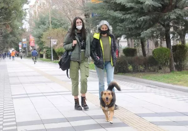 Kırklareli'de valilikten 'kalabalık ortamda bulunmayın' uyarısı Kırklareli'de valilikten 'kalabalık ortamda bulunmayın' uyarısı
