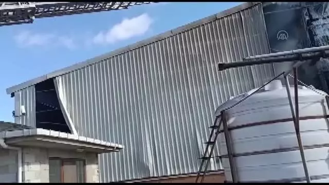 Kırklareli'nde hayvan çiftliğinde çıkan yangın kontrol altına alındı Kırklareli'nde hayvan çiftliğinde çıkan yangın kontrol altına alındı