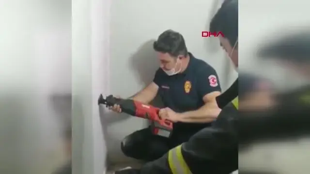 Son dakika haber... Bina boşluğuna düşen yavru kediyi itfaiye kurtardı Son dakika haber... Bina boşluğuna düşen yavru kediyi itfaiye kurtardı