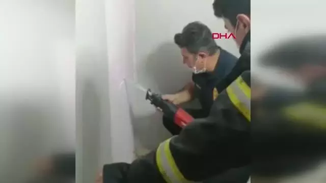 Son dakika haber... Bina boşluğuna düşen yavru kediyi itfaiye kurtardı Son dakika haber... Bina boşluğuna düşen yavru kediyi itfaiye kurtardı