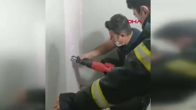 Son dakika haber... Bina boşluğuna düşen yavru kediyi itfaiye kurtardı Son dakika haber... Bina boşluğuna düşen yavru kediyi itfaiye kurtardı