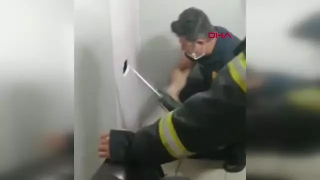 Son dakika haber... Bina boşluğuna düşen yavru kediyi itfaiye kurtardı Son dakika haber... Bina boşluğuna düşen yavru kediyi itfaiye kurtardı
