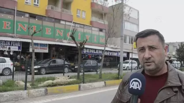 Kozluk'ta başıboş köpekler tehlike saçıyor Kozluk'ta başıboş köpekler tehlike saçıyor