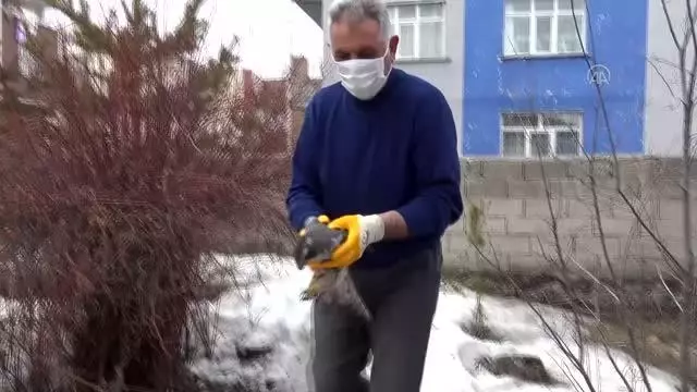 Küçük çocuğun yaralı bulduğu atmaca tedavi altına alındı Küçük çocuğun yaralı bulduğu atmaca tedavi altına alındı