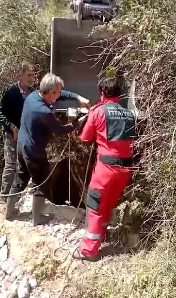 MUĞLA KUYUYA DÜŞEN İNEK KEPÇE YARDIMI İLE KURTARILDI MUĞLA KUYUYA DÜŞEN İNEK KEPÇE YARDIMI İLE KURTARILDI